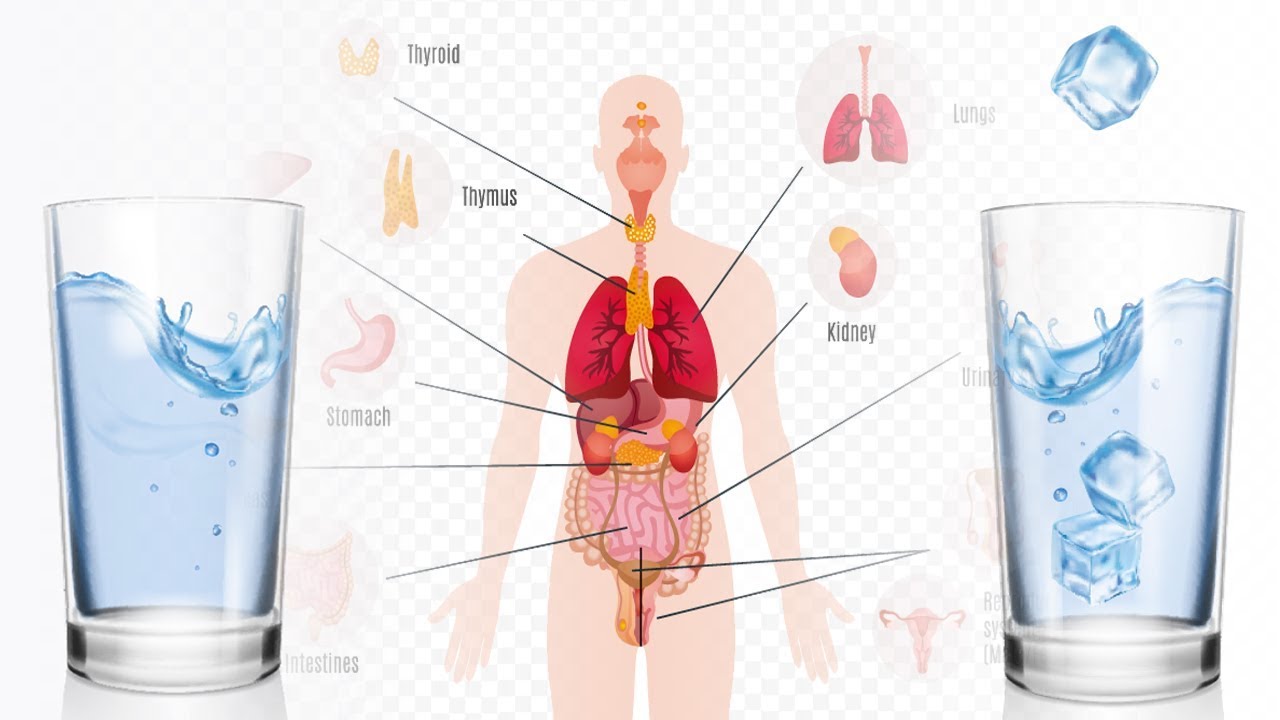 Pros and Cons of Drinking Hot Water