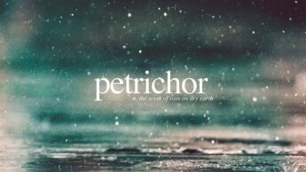 Petrichor wallpaper by ActuallyLemons - Download on ZEDGE™ | 42af