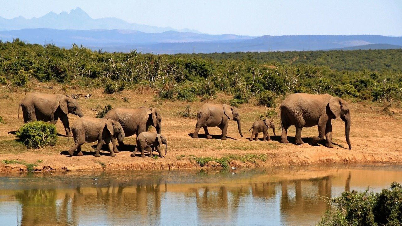 top rated safaris in africa