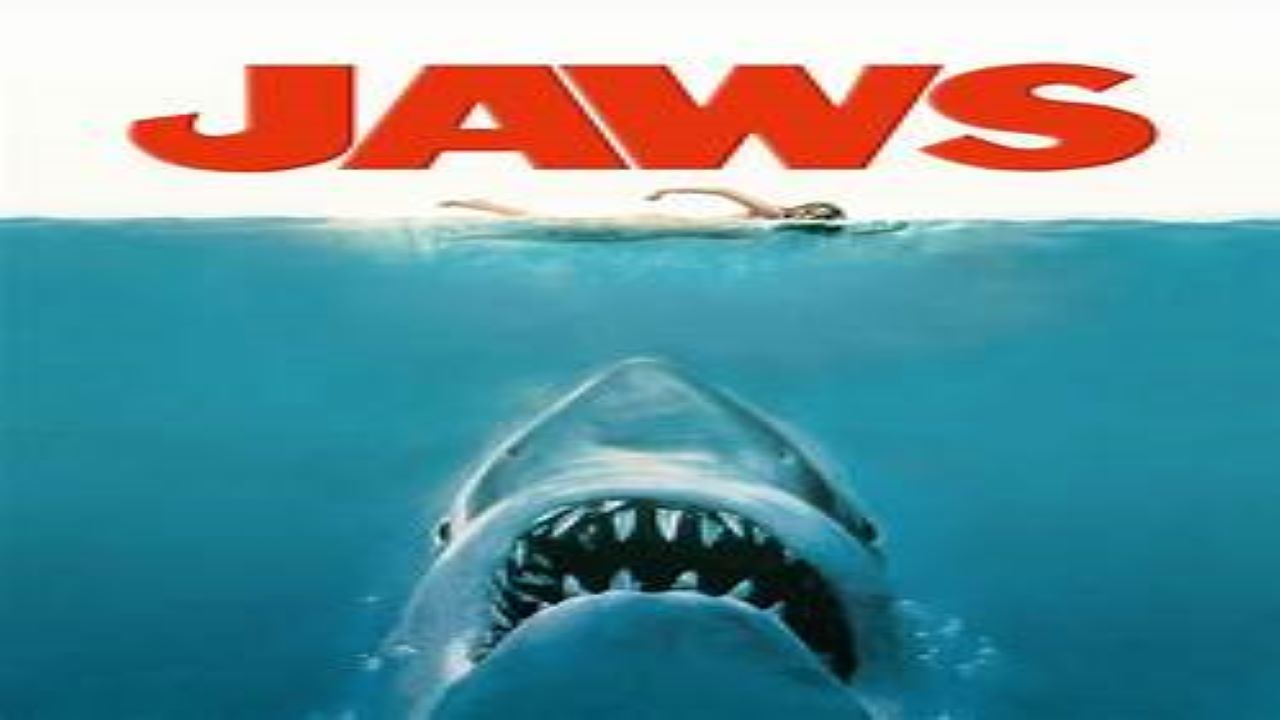 Top 5 Most Thrilling Movies On Sharks You Must Watch - SuccessYeti