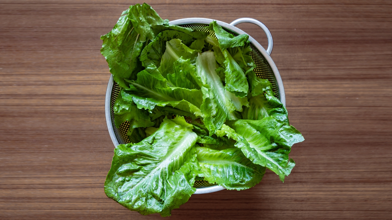 Does Lettuce Cause Or Alleviate IBS? SuccessYeti