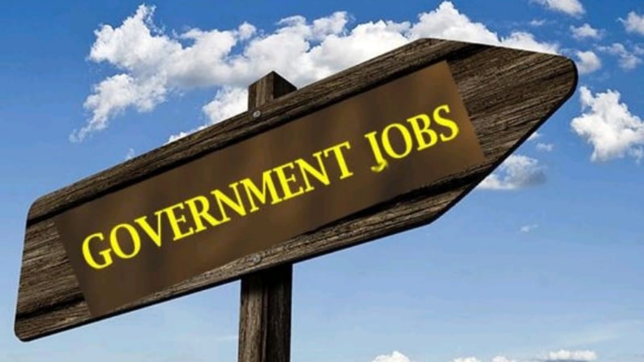 how-to-apply-for-government-jobs-successyeti