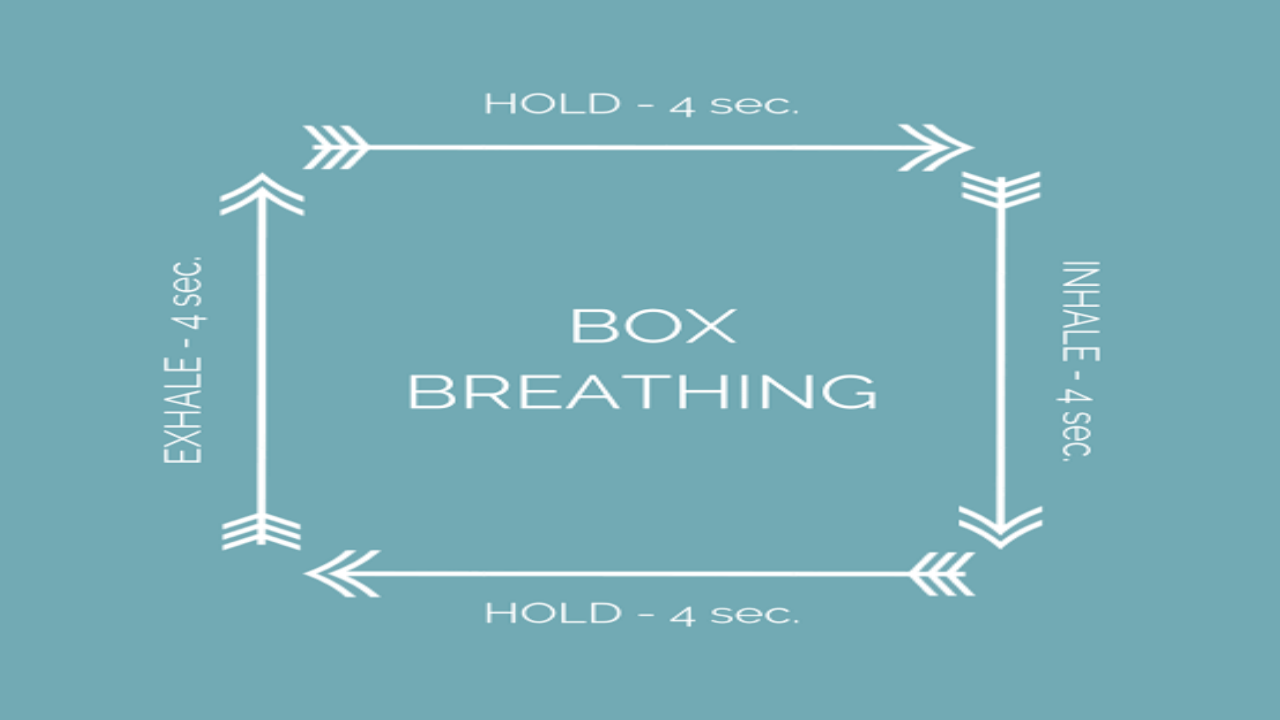 How Does Box Breathing Help In Stress Management - SuccessYeti