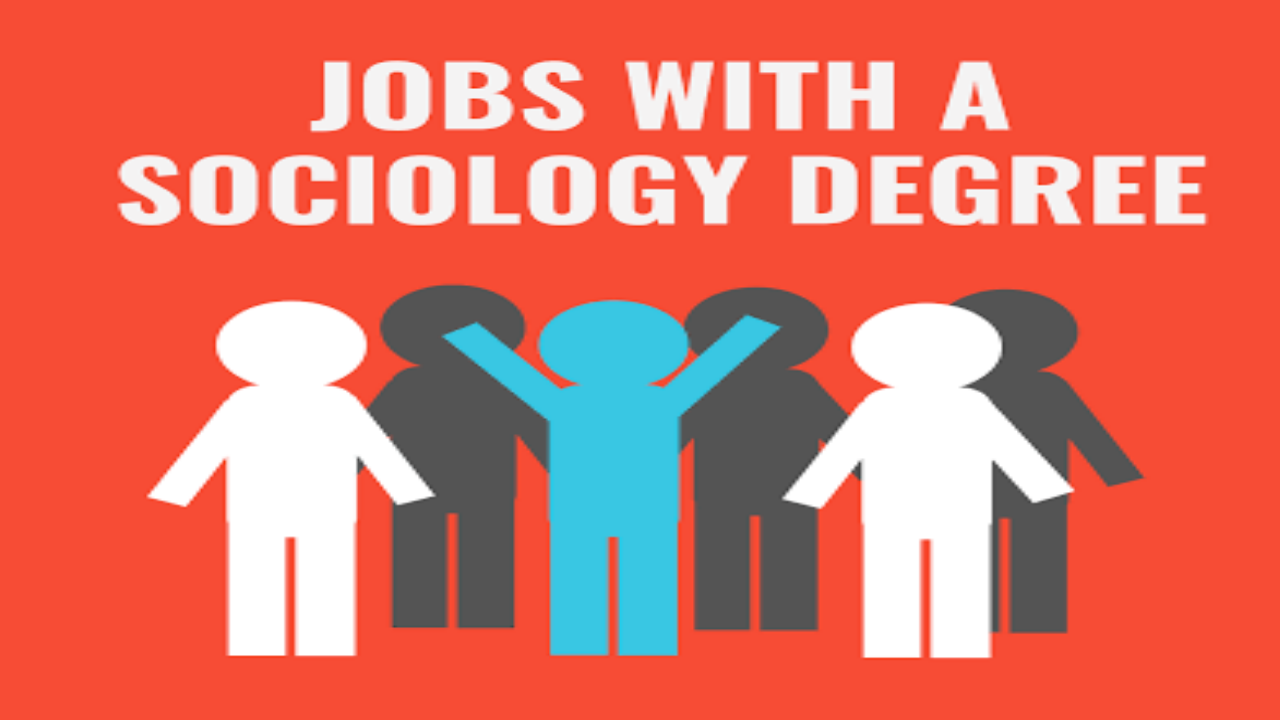 Having A Degree In Sociology? Here Are 6 Jobs That Are Best Suited For