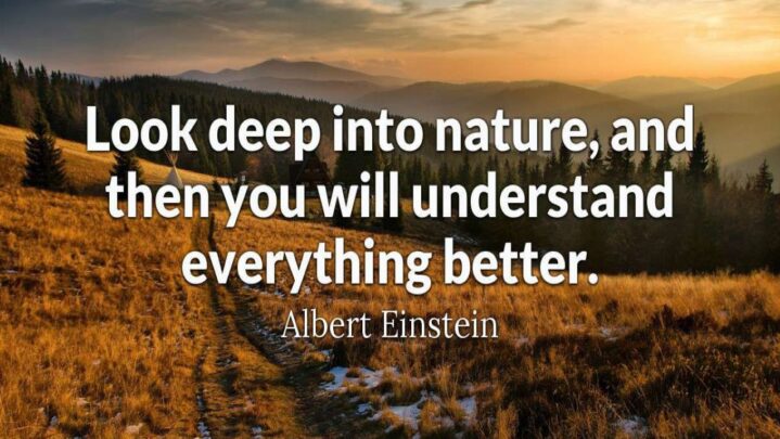 Quotes On Nature To Reconnect With Mother Earth - SuccessYeti