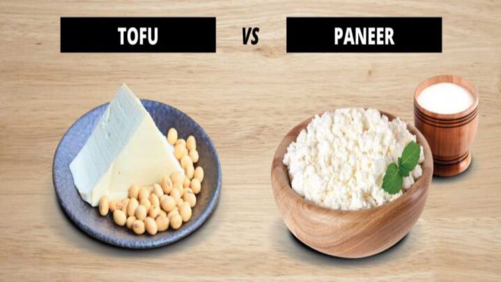 Difference Between Tofu And Paneer - SuccessYeti