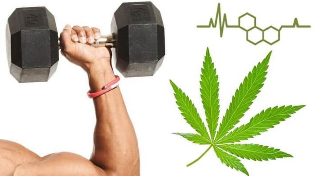 5 Pros And Cons Of Combining Exercise And Cbd Successyeti