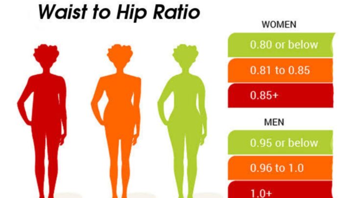 Ways To Measure Visceral Fat - SuccessYeti