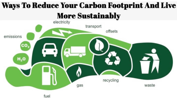 Ways To Reduce Your Carbon Footprint And Live More Sustainably ...