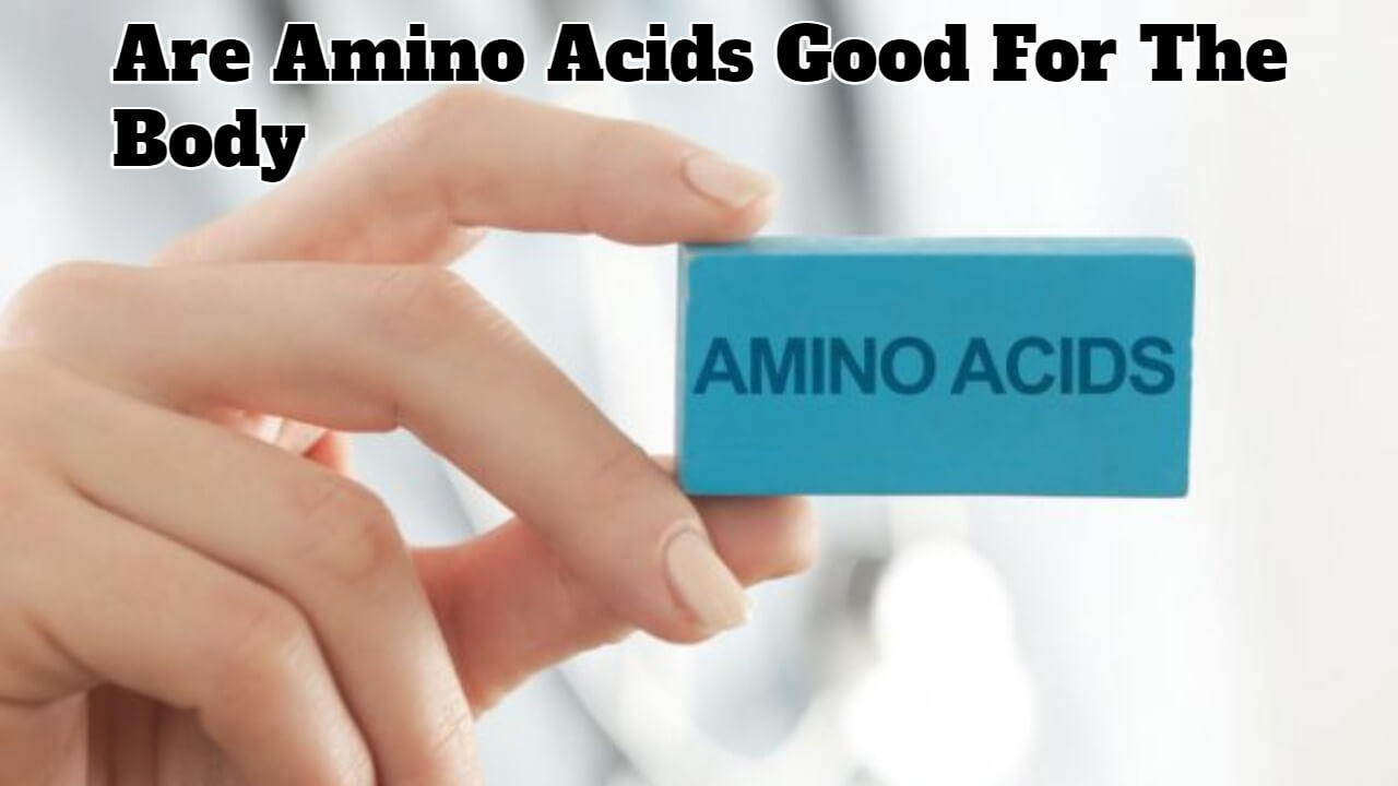 Are Amino Acids Good For The Body SuccessYeti